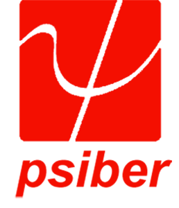 Psiber Data Systems, Inc.